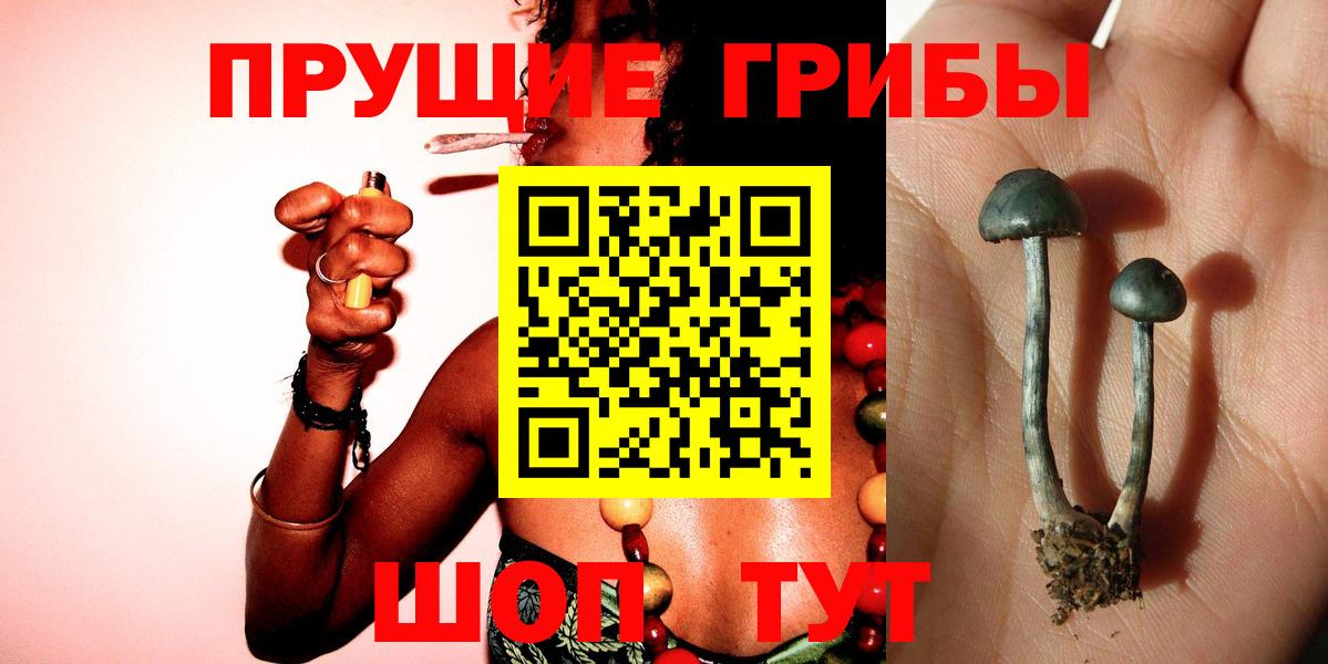 Псилоцибиновые грибы MAGIC MUSHROOMS Славянск-на-Кубани