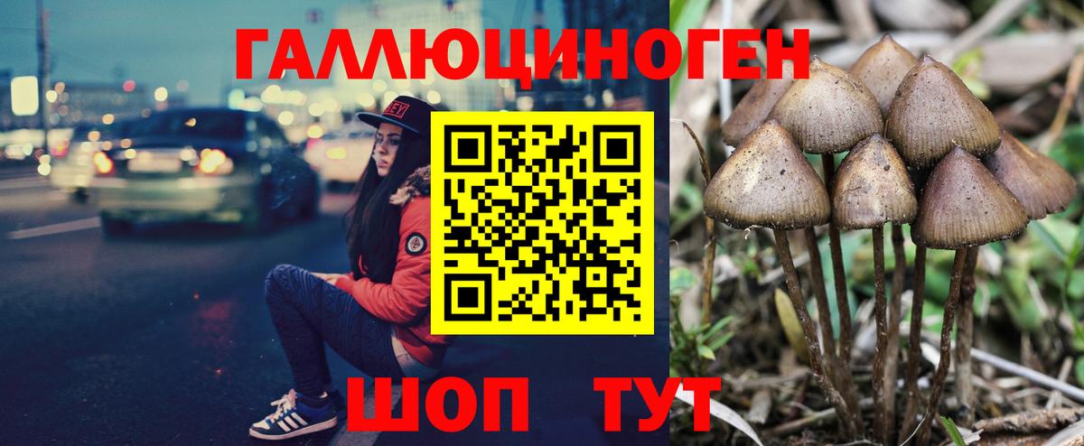 Галлюциногенные грибы MAGIC MUSHROOMS  Галлюциногенные грибы Magic Shrooms  Вход с VPN  Славянск-на-Кубани 